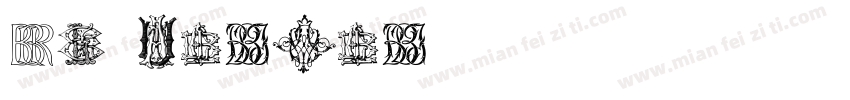 en yougou字体转换
